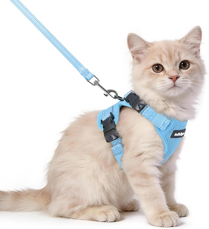 rabbitgoo Cat Harness and Leash, Easy-on with Neck Buckle, Sky Blue