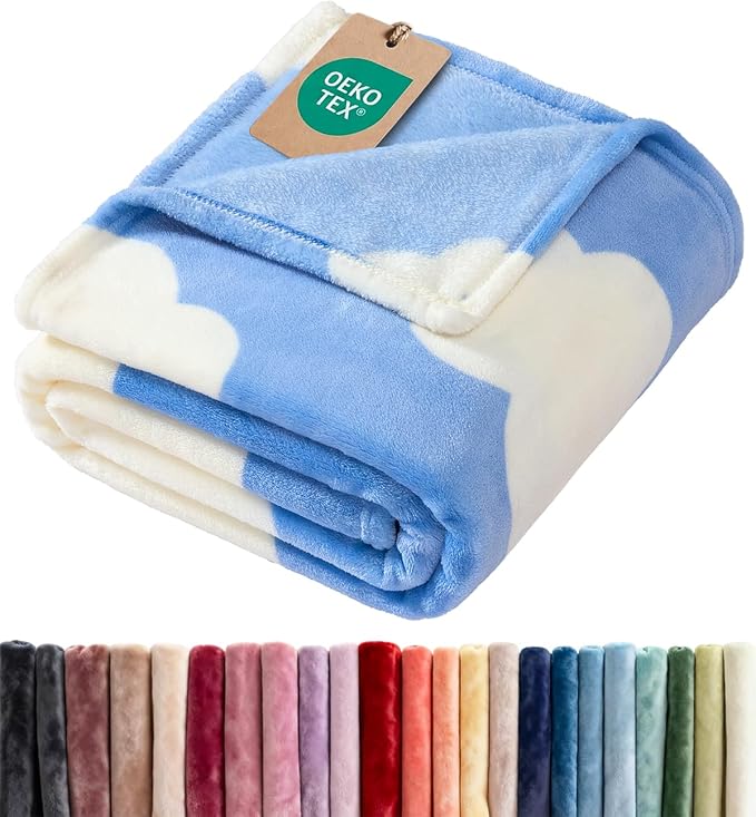 Ultra Soft Fleece Blanket - Flannel Fleece Luxury Blanket - Lightweight for Couch Bed Chair - Thick, Warm and Breathable - All Season Cozy Fuzzy, Anti-Static Microplush Bedding, Queen, Design 320