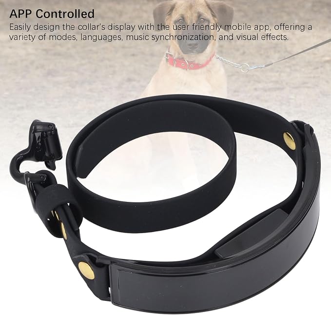 LED Dog Collar with DIY Smart Screen, Rechargeable Light Up Pet Collar, Glowing in Dark for Night Walks, APP Controlled Display Modes, PU Leather Comfort Fit for Small (Blue Light)