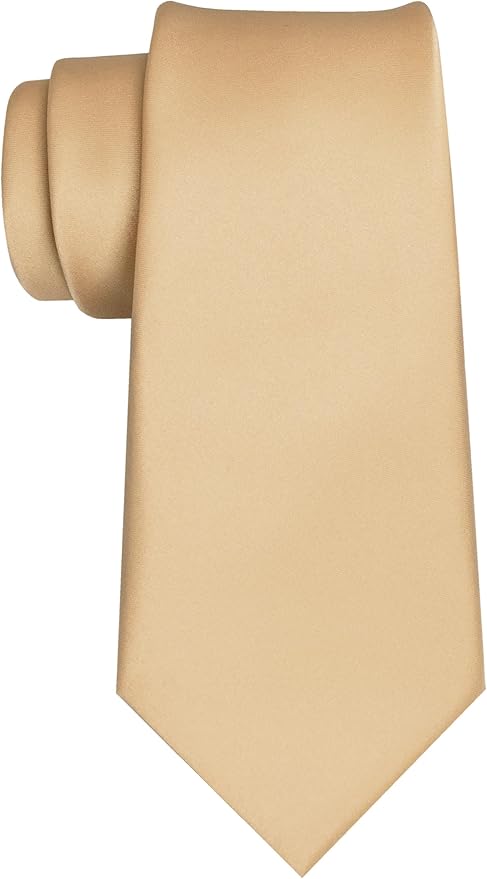 JEMYGINS Solid Color Tie Mens Necktie for Business and Wedding