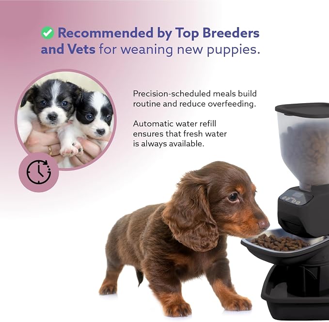 Feeding Friend® Automatic Dog & Cat Food Feeder with Water Dispenser, Smart Portion Control, OLED Display, Anti-Jam Design, Battery Operated, XS 4–15 lbs Pets, Black