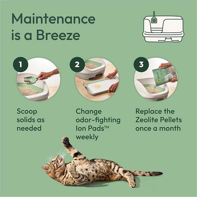 Purina Tidy Cats Breeze Refill Cat Litter Pellets, (4) 7 lb Bags