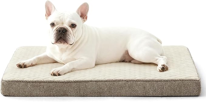 JOEJOY Orthopedic Dog Bed for Small Dogs, Washable Dog Crate Bed Small Sized with Removable Cover, Egg Memory Foam Pet Beds, Beige, 23"x17"