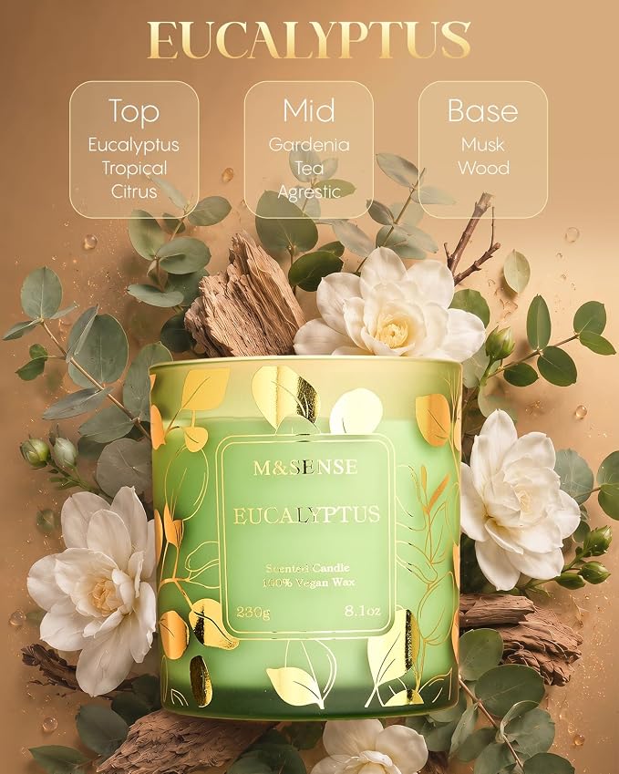 M&SENSE Eucalyptus Soy Candle, 8.1oz Gilded Glass, Spa Calming Aromatherapy | 42H Slow Burn, Fresh Bathtub Home Fragrance, Non-Toxic, Warmer Lamp Safe, Reusable Spa Jar, Sensitive-Nose Friendly