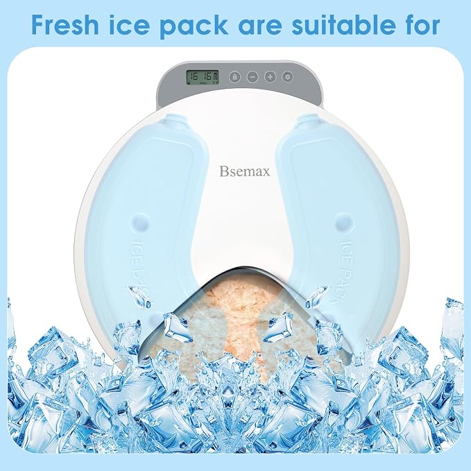 2 Pcs Replacement Ice Packs for Automatic Cat Feeder Wet Food and Automatic Pet Feeder （Place It Horizontally, Not Vertically）