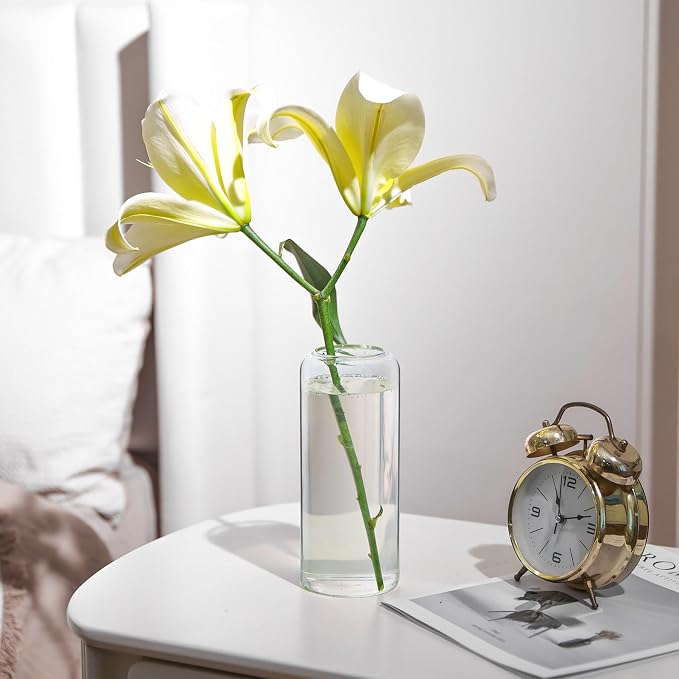 ComSaf Glass Flower Vase 8 Inch Tall, Clear Bud Vase for Centerpieces | Decorative Bouquet Display, Home, Living Room, Bedroom, Wedding Decor, Mother's Day, Valentine's Day, Housewarming Gift