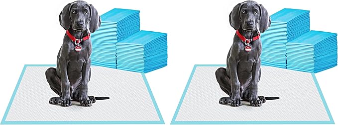BESTLE Large Pet Training and Puppy Pads Pee Pad for Dogs 24"x24"-80 Count Super Absorbent & Leak-Proof (Pack of 2)