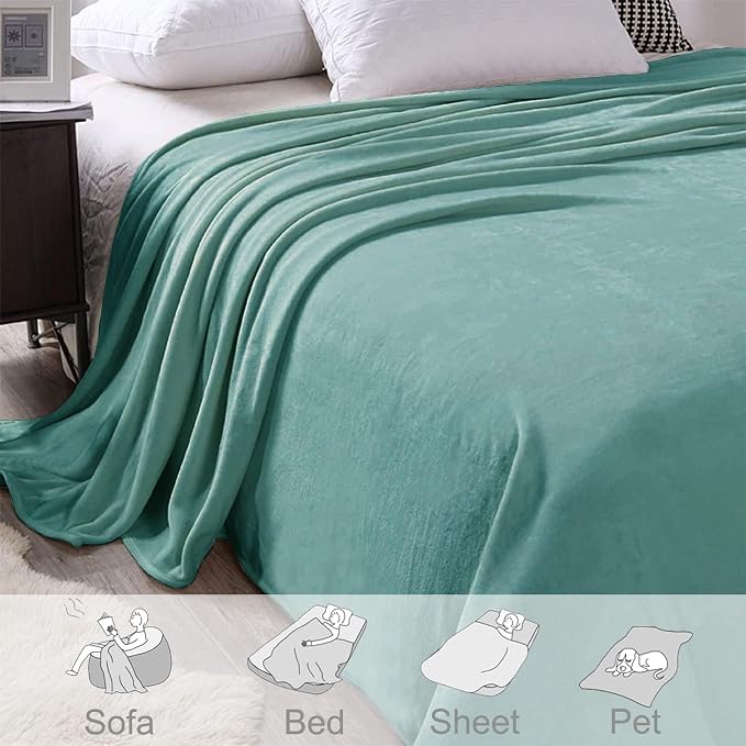 Exclusivo Mezcla Soft Fleece Blanket Twin Size for Bed, Celadon | 60x80 Inches, Double-Sided Brushed Flannel, Lightweight Plush Cozy Blanket for Home Decor, All Season, Machine Washable