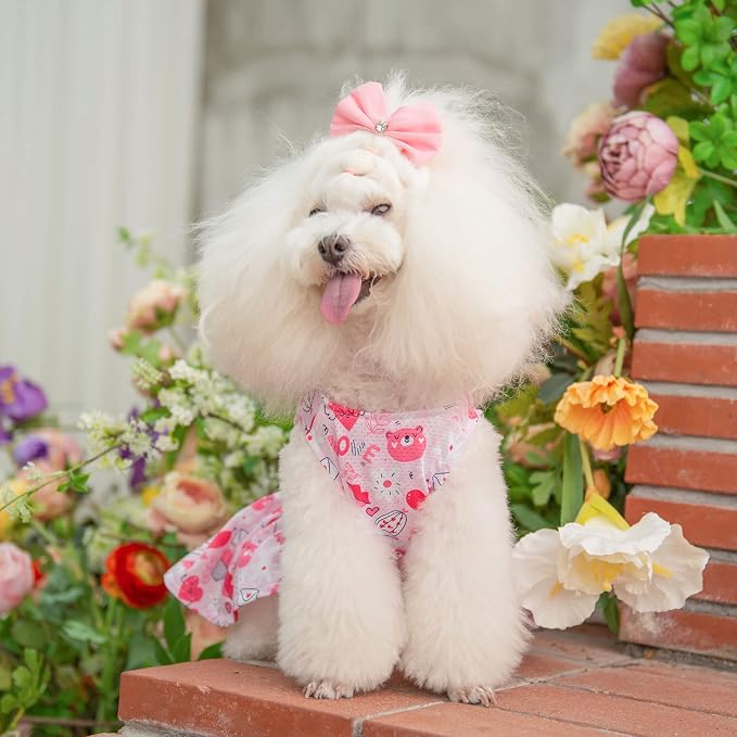 CuteBone Dog Mesh Dress Puppy Sundress Pet Outfit Summer Fashion for Small Dogs Girl Cat Clothes
