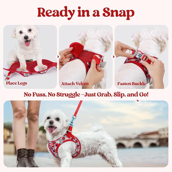 rabbitgoo Dog Harness Small Sized and Leash Set, Step-in Puppy Pet Vest | Light, Soft, Breathable Air Mesh, Easy on and Remove with Hook & Loop, Secure Reflective for Walking, Apple Pups XXS