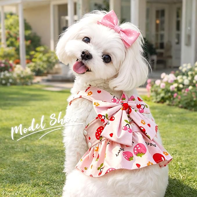 2Pack Small Dog Harness Dress for Girl Puppy Cat Dress with Strawberry&Lemon Pattern Adjustable Breathable D-Ring Outfits for Small Puppy Cat Dresses for Cats Only or Dog Girl Clothes