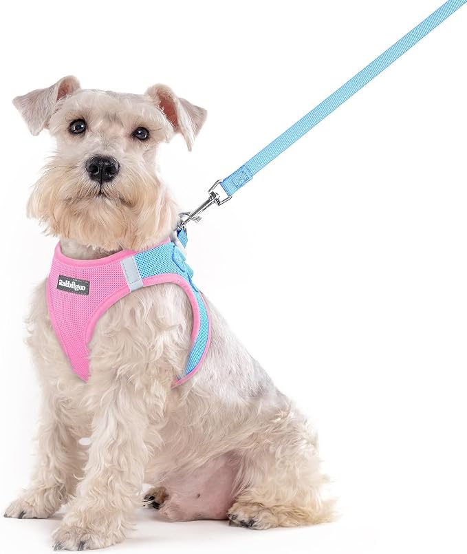 rabbitgoo Dog Harness Medium Sized and Leash Set, Step-in Puppy Pet Vest | Light, Soft, Breathable Air Mesh, Easy on and Remove with Hook & Loop, Secure Reflective for Walking, Blue & Light Pink XXL