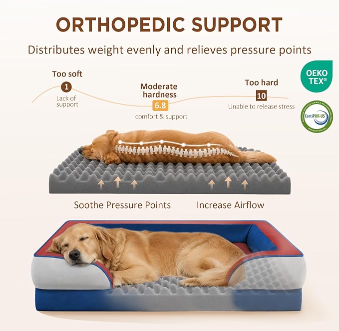 Comfort Expression Orthopedic Dog Bed for Extra Large Dogs with Bolster | Waterproof Dog Couch Bed with Washable Cover & Non-Slip Bottom, Supportive Egg Crate Foam XL Pet Bed, 42x30 Inch
