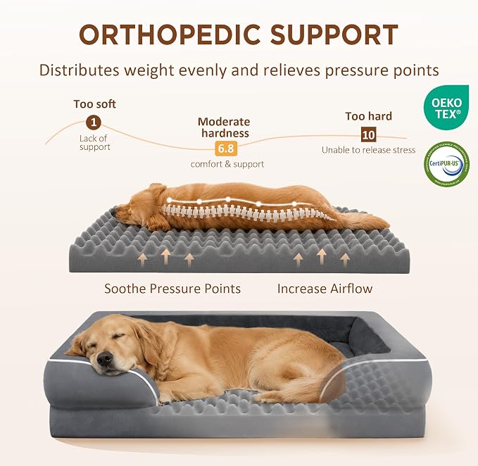 Comfort Expression Waterproof Orthopedic Dog Bed for Extra Large Dogs | Supportive Egg Crate Foam XL Pet Bed with Removable Bolster, Dog Couch with Washable Cover & Non-Slip Bottom, 42x30 Inch