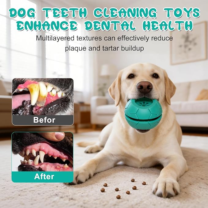 Treat Dispensing Dog Toy & Bully Stick Holder, Large/Medium Dogs