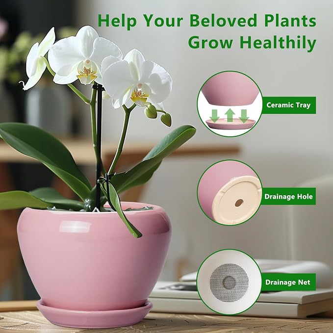 Ceramicfor 10 Inch Plant Pot - Ceramic Planter for Indoor Plants, Glaze Modern Round Planter with Drainage Hole and Saucer, Gifts for Plant Lovers, Office Patio Home Room Decor, Pink