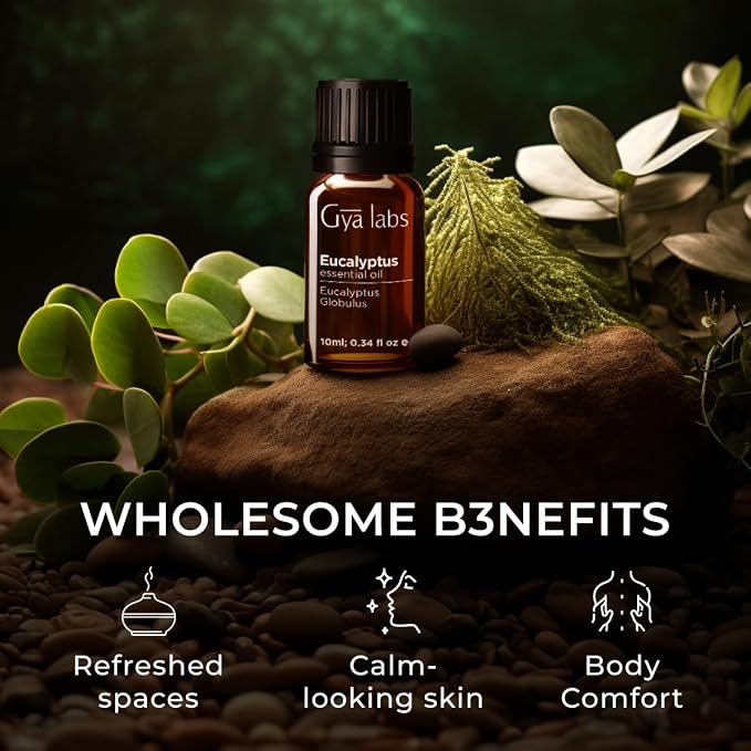 Vetiver Essential Oil for Skin & Eucalyptus Essential Oil for Diffuser Set - Aromatherapy Grade Essential Oils Set - 2x10ml - Gya Labs