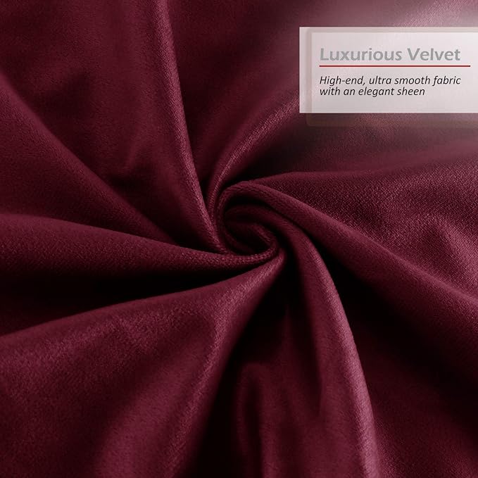 Throw Pillow Inserts Pack of 2 with Velvet Soft Solid Decorative Square Throw Pillow Covers Set for Sofa Couch Car Bedroom, 22X22 Throw Pillows Inserts with 20x20 Washable Cushion Covers, Brownish Red