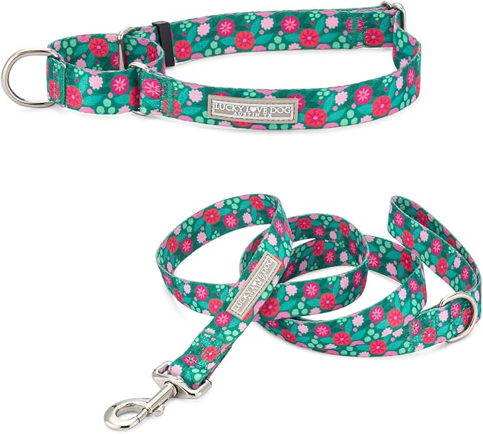 Lucky Love Dog Martingale Collar & Leash Set No Slip Cute – Penny, Medium