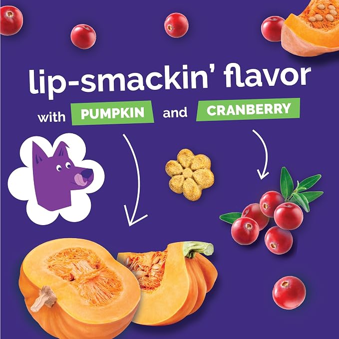 Fruitables Baked Dog Treats, Low Calorie Treats, Pumpkin & Cranberry, 7oz | Healthy Dog Treats, Training Treats, Crunchy Dog Biscuits, Limited Ingredient Recipe, Healthy Puppy Snacks, Made in USA