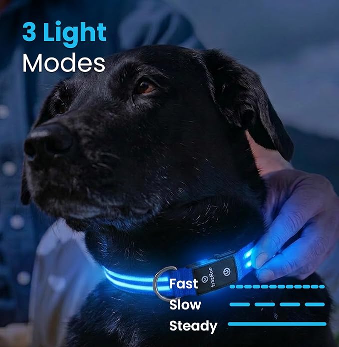 Tractive Smart Dog GPS Collar | Live Pet Tracker with Virtual Fence | Vital Signs Monitoring of Heart & Respiratory Rate | Bark Monitoring | LED Dog Collar (Blue, Large)