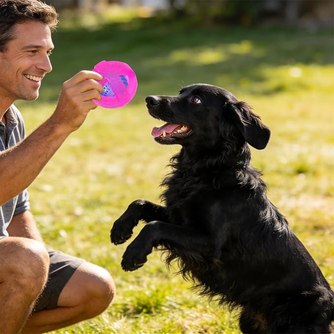 Indestructible Dog Balls 3.5 Inch Tough Chew Toys for Aggressive Chewers
