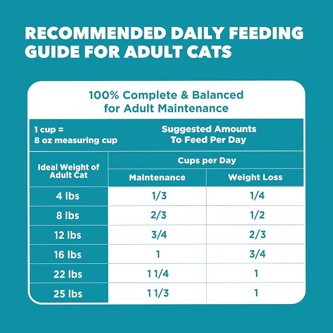 IAMS Proactive Health Indoor Dry Cat Food, Salmon, 7 lb | Veterinarian-recommended, #1 ingredient real salmon, reduces hairballs, supports healthy weight, boosts immune system