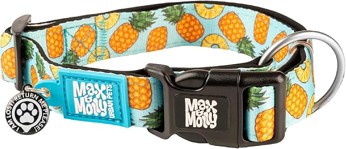 Max & Molly Urban Pets Fashion Smart ID Dog Collar, Anti-Fade, Adjustable Sizing w/Pet Profile Smart ID QR-Tag, Waterproof & Machine Washable, Sweet Pineapple Design Large (Neck Size 15-25")