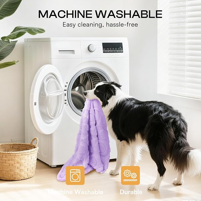 Luciphia Soft Small Dog Blanket 300GSM Fleece Throw Puppy Cat,41"x31" | Pink Blanket Washable for Medium/Large Dogs, Cute Cover on Bed Couch Crate Car, Puppy Essentials,Cat Stuff, Dog Gift