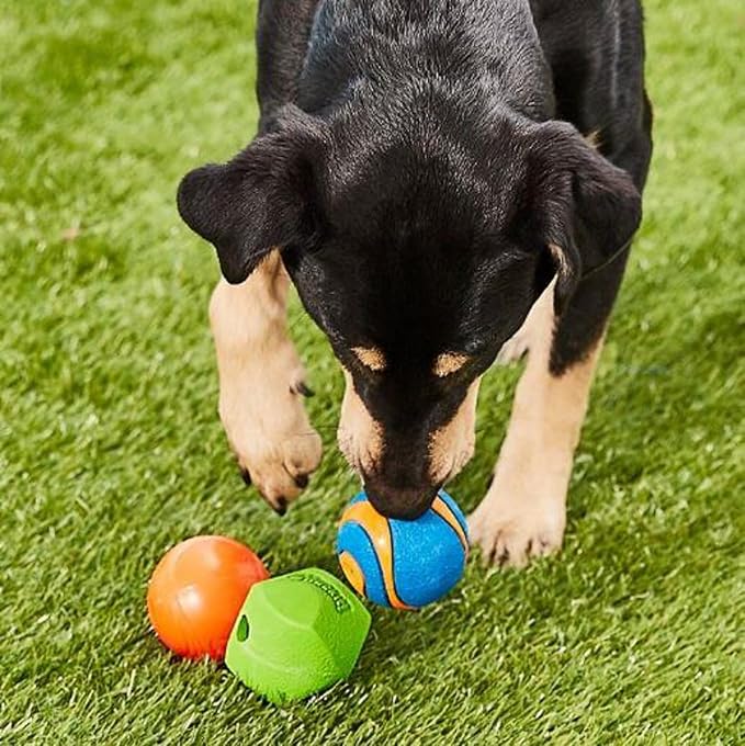 Chuckit! Fetch Pack Dog Ball Dog Toys, Medium (2.5 Inch), for Medium Breeds, Includes Erratic, Strato and Ultra Squeaker Balls, 3 Count (Pack of 12)