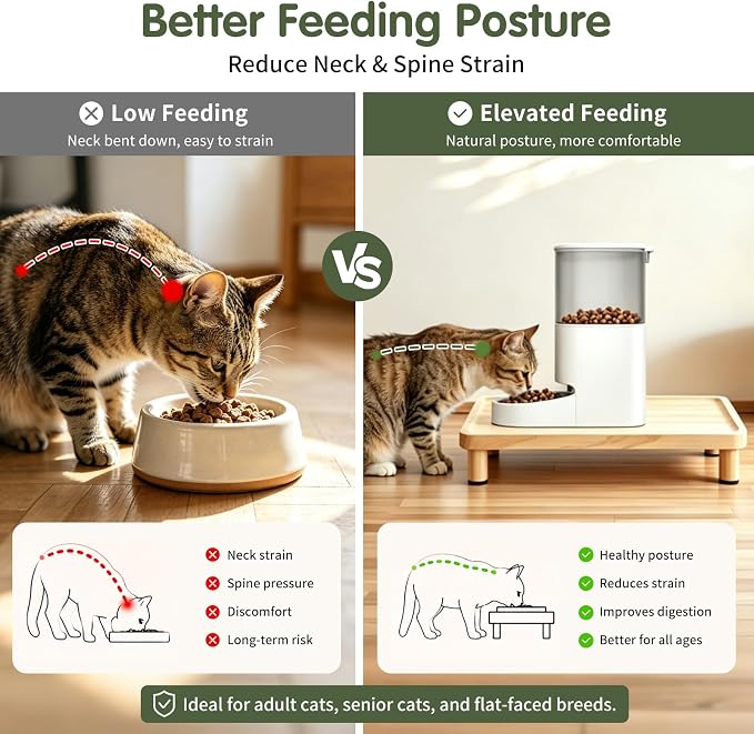 Cat Food Stand, Elevated Cat Feeding Station for Bowls & Feeders | Raised Rim Bowl Support, For Automatic Feeders & Bowls, Non-Slip Feet, Tool-Free Assembly, 15.8 x 9.8 in Wood Platform