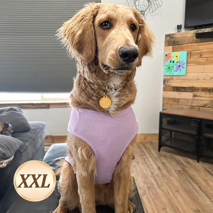 KYEESE 2Pack Waffle Dog Shirt for Medium Large Dogs Striped Dog Sweater | Cozy Warmth, Lightweight & Breathable, Gentle on Sensitive Skin, Stretchy & Free to Move, Comfortable Daily Wear