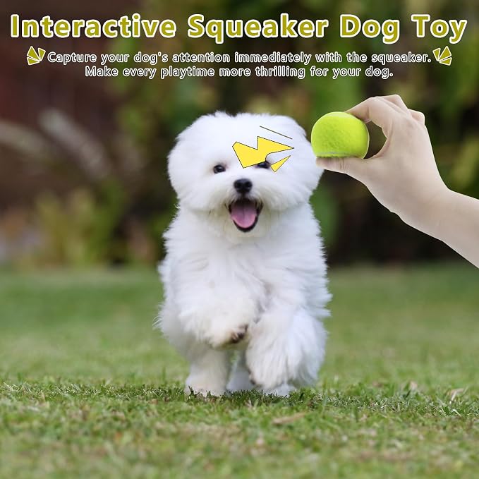 Magicorange 10 Pack Squeaky Mini Tennis Balls, 1.5 inch Small Dog Ball