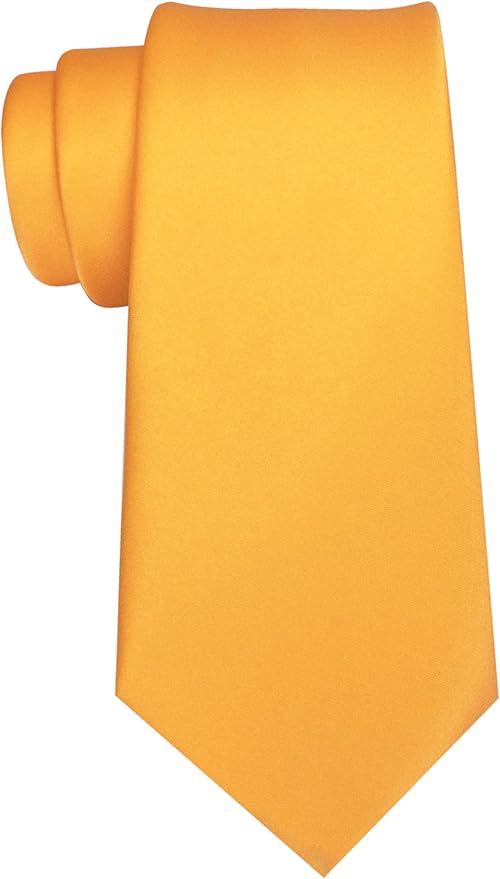 JEMYGINS Solid Color Tie Mens Necktie for Business and Wedding
