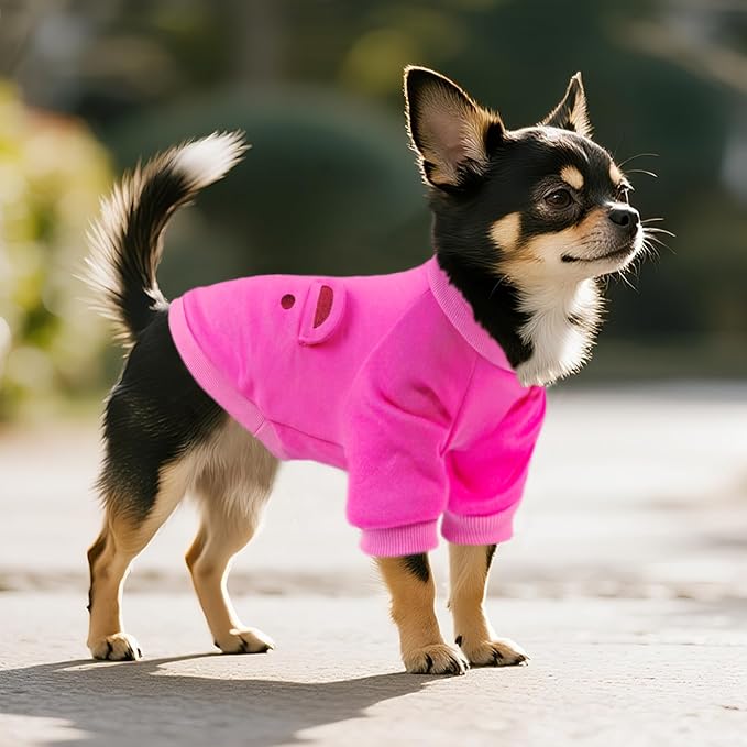 Rose Cute Dog Sweater Soft Winter Clothes for Small Dogs, S | Classic Rose Knit Pullover, Fall Winter Outfit, Elastic Cuffs, Holiday Party Matching, Machine Washable Sweatshirt for Pets
