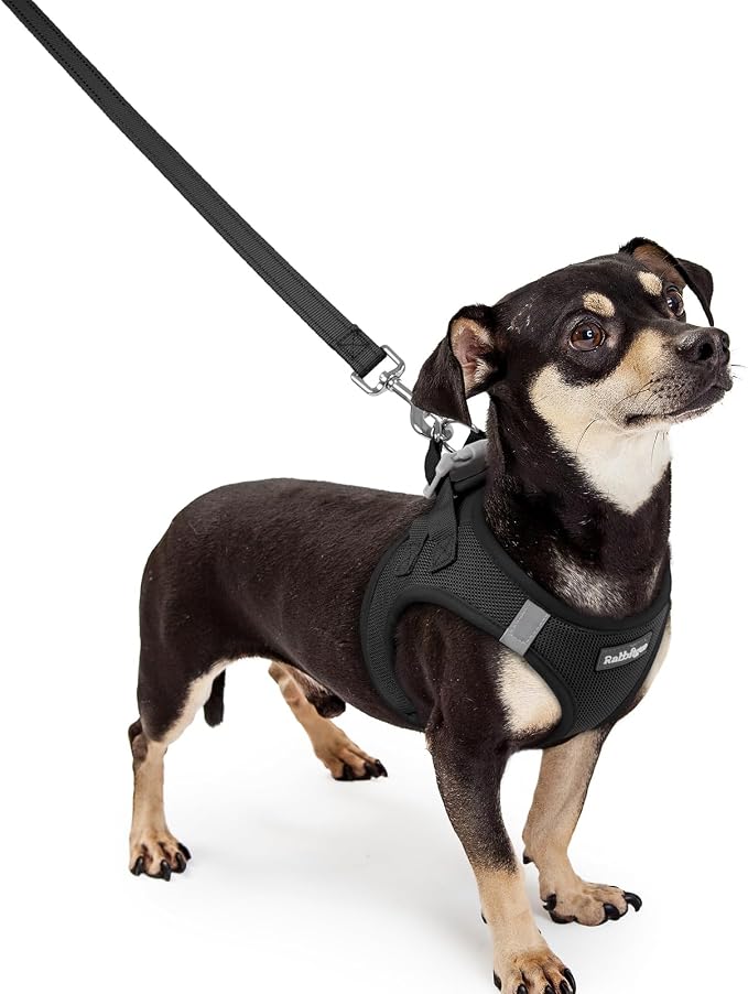 rabbitgoo Dog Harness Small Sized and Leash Set, Step-in Puppy Pet Vest | Light, Soft, Breathable Air Mesh, Easy on and Remove with Hook & Loop, Secure Reflective for Walking, Black XXXS
