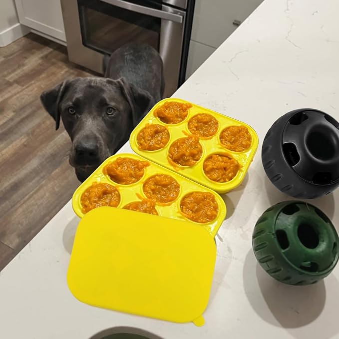 BABORUI 6 Cavities Dog Treat Molds with Lid for Woof Pupsicle & Power Chewer Pupsicle Large 25-75lbs, Reusable Frozen Dog Treat Molds Silicone for Making Ice Popsicle Snacks (L)