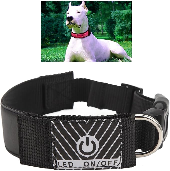 Programmable LED Dog Collar with 7 Flashing Modes Rechargeable High Visibility Polyester Ribbon for Night Walks Red