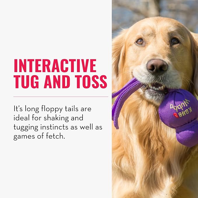 KONG Wubba - Dog Toy for Tug of War & Fetch - Dog Supplies for Puppy & Dog Playtime - Outdoor & Indoor Dog Toy - for XL Dogs - Randomly Provided Color (Pack of 2)