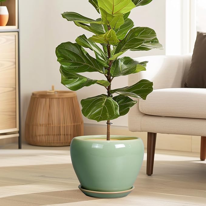 Ceramicfor 8 Inch Plant Pot - Ceramic Planter for Outdoor Plants Indoor Plant Pot with Drainage Hole and Saucer Mid-Century Round Planter Flower Pot for House Garden Green