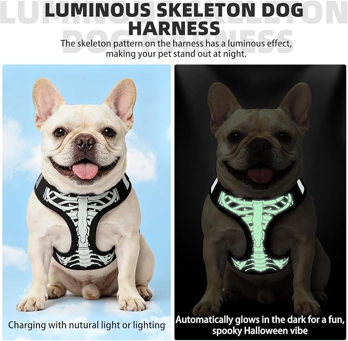 KOOLTAIL Halloween Dog Harness and Leash Set for Small Medium Dogs,Step in No Pull Soft Mesh Comfort Padded Pet Vest Harness,Glow-in-Dark Skeleton Design Easy Walking Puppy&Cat Harness for Holiday S