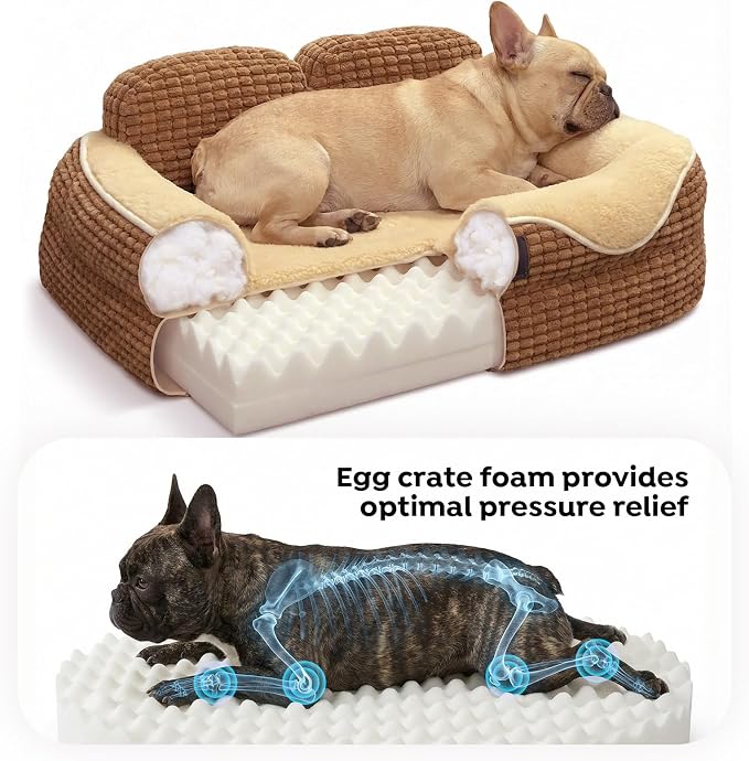 Veehoo Square Small Dog Bed, Orthopedic Dog Bed Washable Couch Sofa, 24" | Washable Dog Bed for Indoor, Egg-Crate Memory Foam Dog Bed with Sides, Removable Cover, High Back Non-Slip Bottom