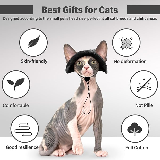DENTRUN Cat Bucket Hat with Ear Hole, Cotton Birthday Bonnet for Small Pets | Breathable cotton, Adjustable Secures fit, For birthday Party, For small cats, daily cute photos