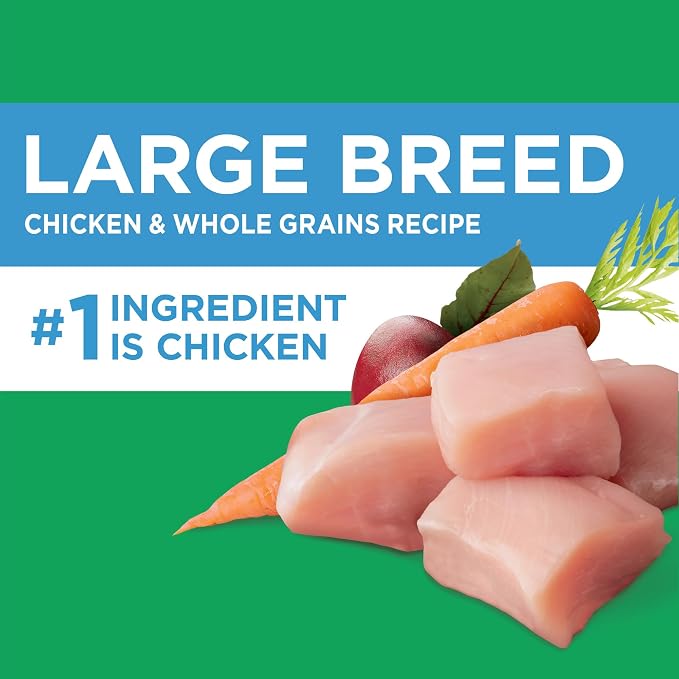 IAMS Proactive Health Large Breed Dry Dog Food, Chicken, 30 lb | Veterinarian-recommended, real chicken #1 ingredient, L-Carnitine for metabolism, Glucosamine & Chondroitin, optimal calcium