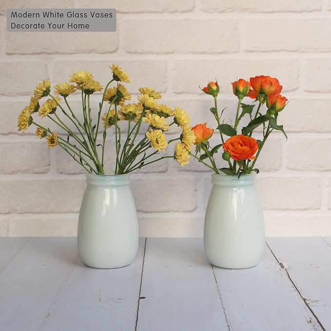 YANLING 6 Pack White Vase for Decor Small Ceramic Vase for Flowers | Bud Vases for Home Decor White Flower Vase, Boho Vases Dried Flowers Vases