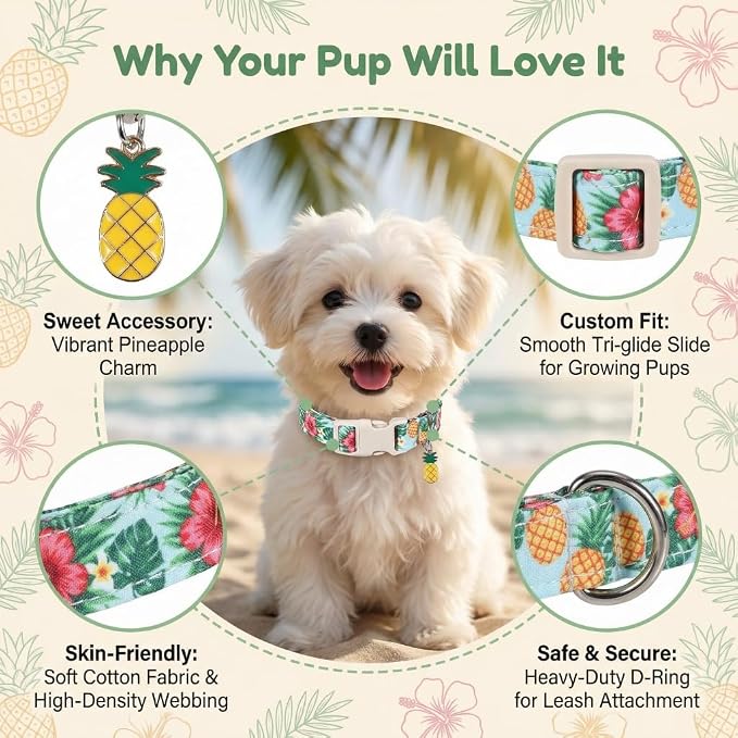 Summer Dog Collar with Tropical Pattern, Cute Dog Collar for Girl Boy Dogs, Pet Collar with Unique Print and Soft Fabric, Suitable for Small Dogs