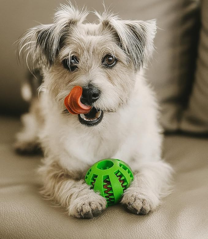 Treat Dispensing Dog Ball – Durable Rubber Interactive Dog Feeder Puzzle Toy, 2.75" Size