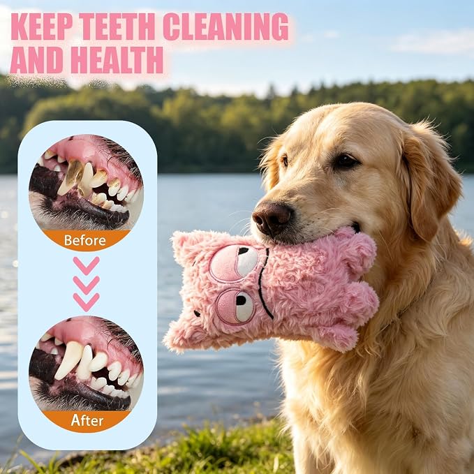 Monster Dog Valentine Toy for Puppy Gifts, Stuffed Dog Plush Toy | Crinkle Squeaky, Soft Lightweight Toy for Fetch and Chew, Interactive Outdoor Indoor Play for Tug, For Puppy Small Medium Dog