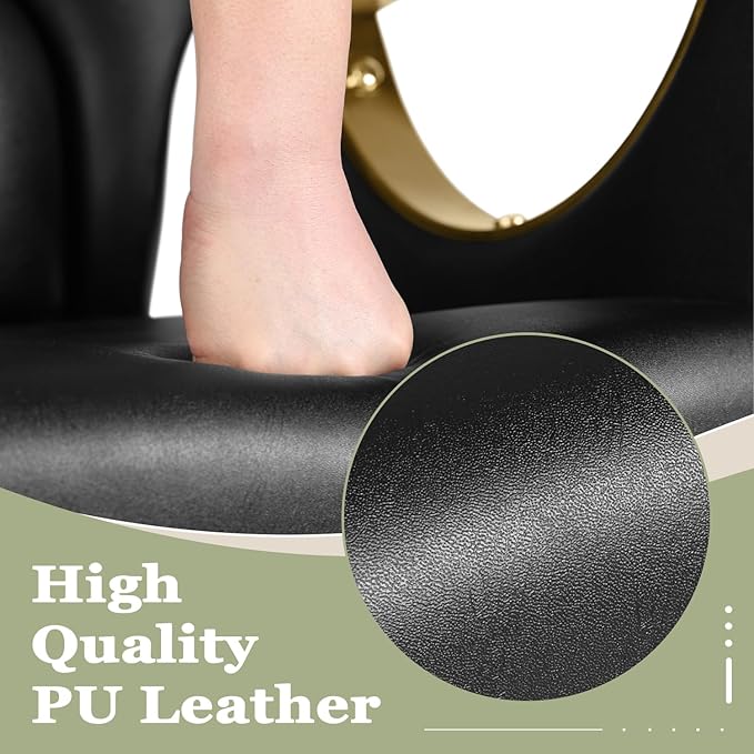 Black and Gold Reclining Salon Barber Chair for Hair Stylist, Hydraulic Pump Hair Salon Chair, 360° Swivel Styling Chair for Home or Barbershop