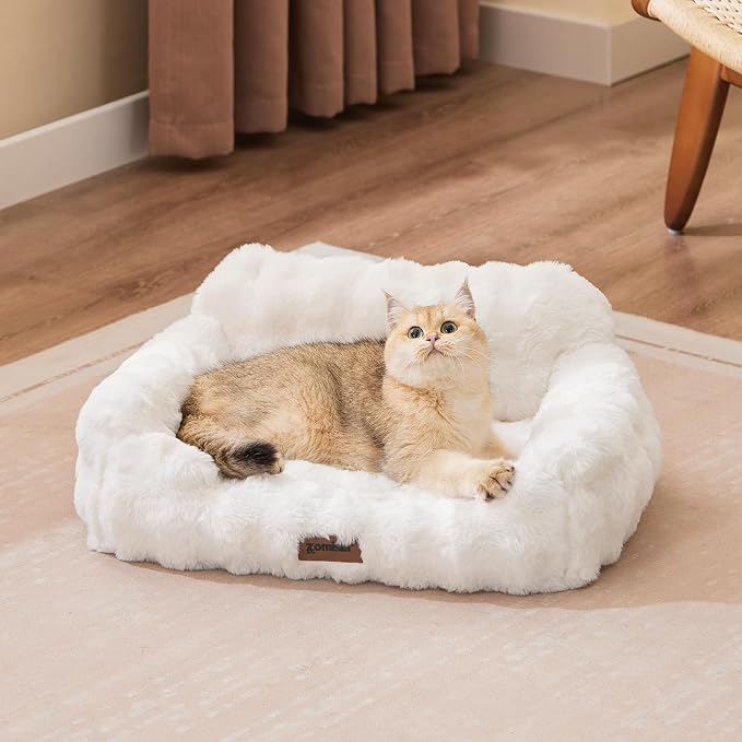 ZOMISIA Orthopedic Cat Couch Bed for Indoor Cats, Removable Washable Cover | 24x18'' Cute Cat Sofa Bed, Neck-Friendly Bolster, Pet Couch Bed with Supportive Egg Foam for Small Dogs Puppy Kitten, White